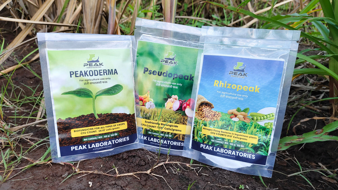 Peak Laboratories – Trusted Manufacturer of Premium Liquid Biofertilizers for Sustainable Agriculture