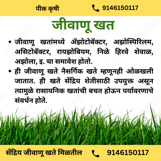 जीवाणू खत म्हणजे काय?