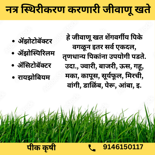 नत्र स्थिरीकरण करणारी जीवाणू खते