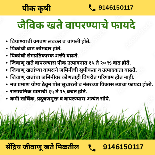 जैविक खते वापरण्याचे फायदे