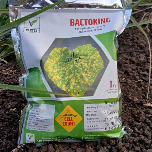 जीवाणू स्लरी १५ जीवाणू (Talc)