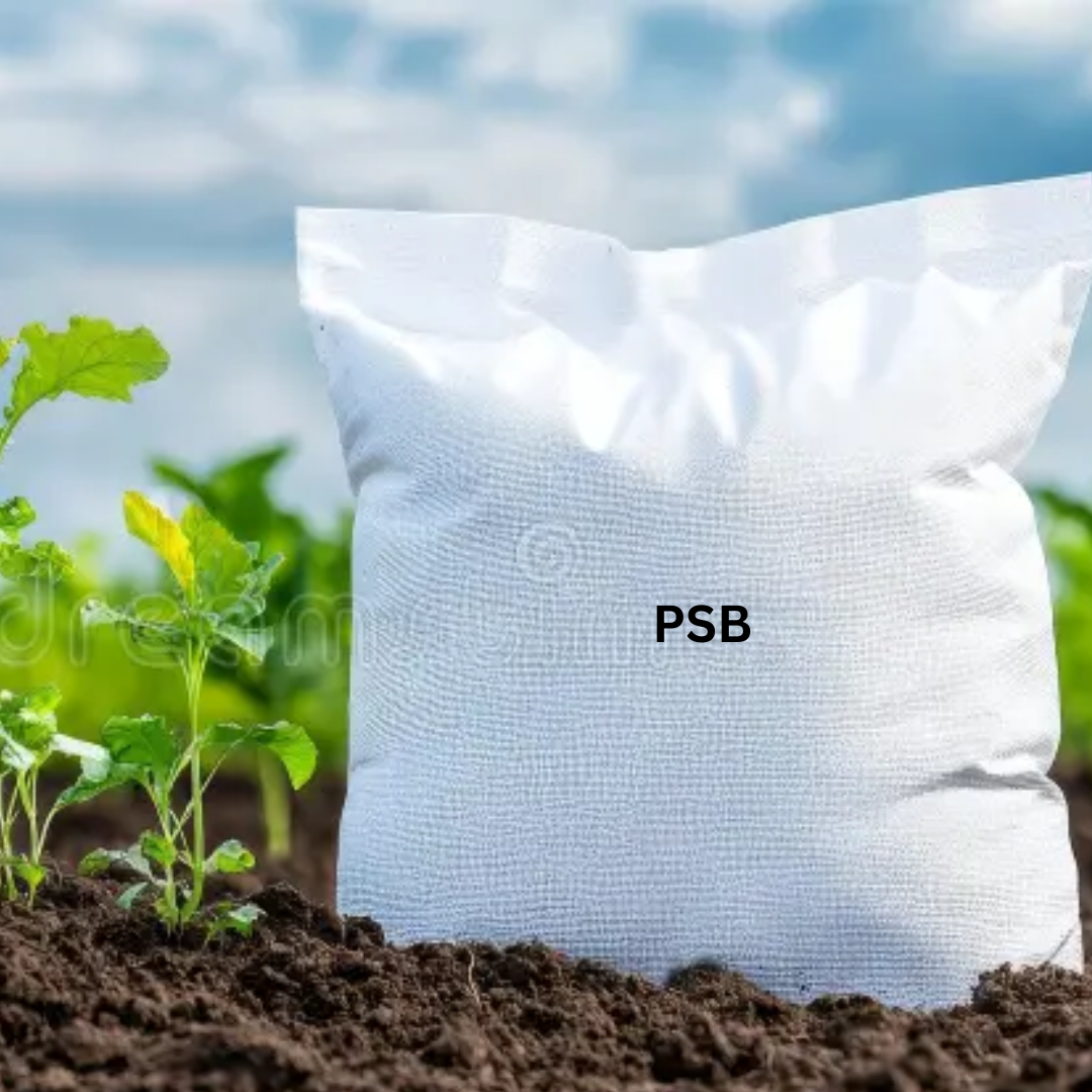 PHOSPHOPEAK: PSB Phosphate Solubilizing Bacteria 1 Kg Packet (Talc)