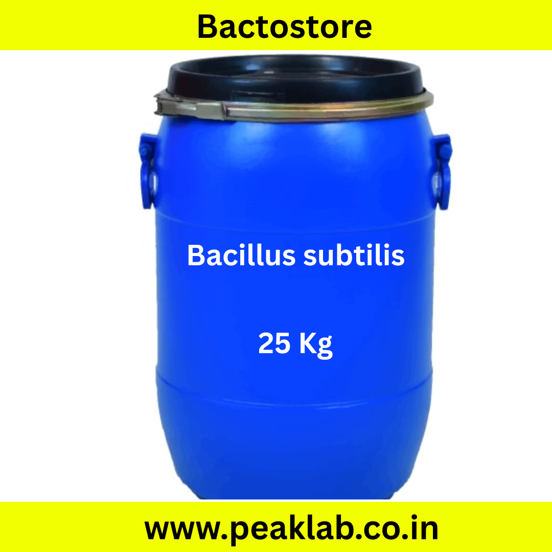 Bacillus subtilis powder 25 Kg Drum