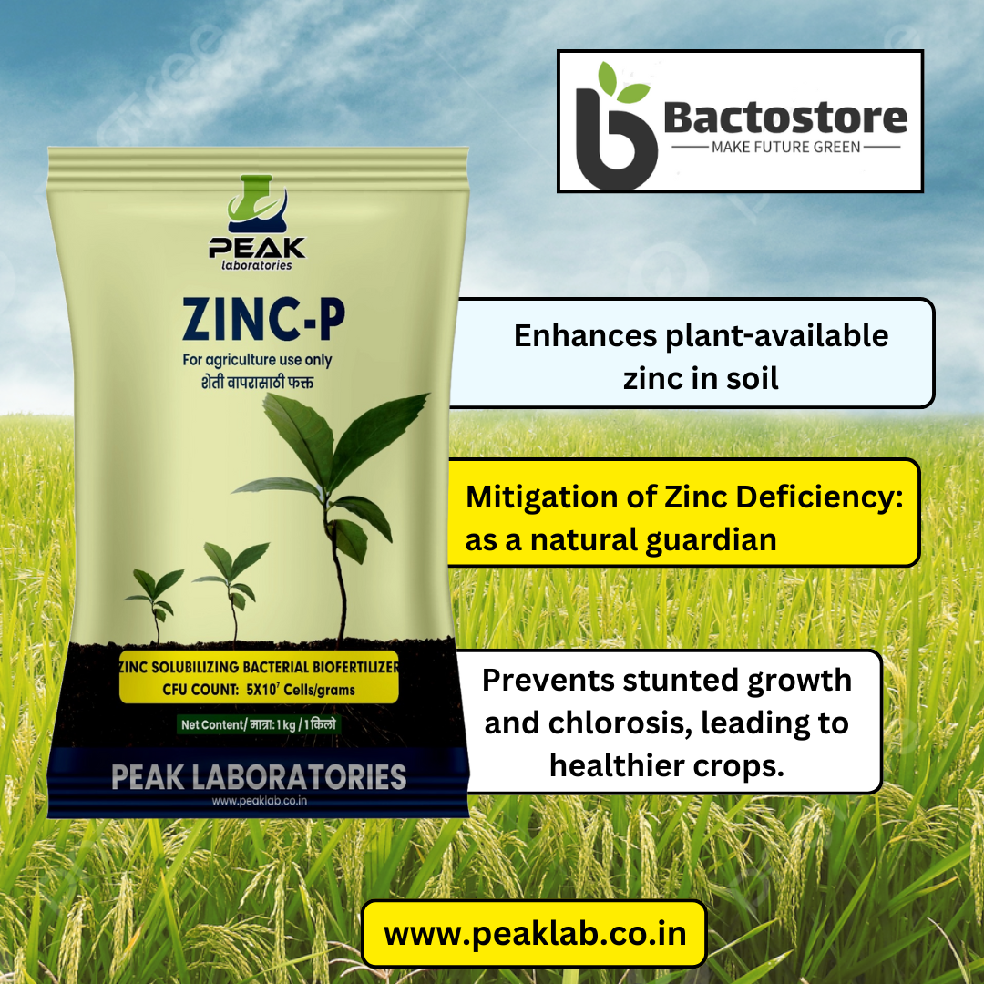 ZINC-P : ZSB Bacteria 1 Kg Packet (Dextrose)