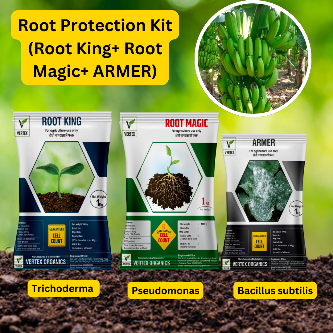 केळी साठी जीवाणू कीट / Banana Biofertilizer Kit FREE SHIPPING