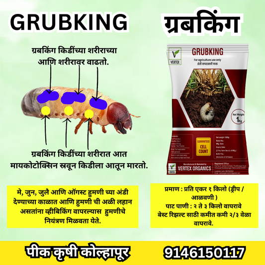GRUBKING: WHITE GRUB हुमणी स्पेशल 1 Kg Pack (Talc)