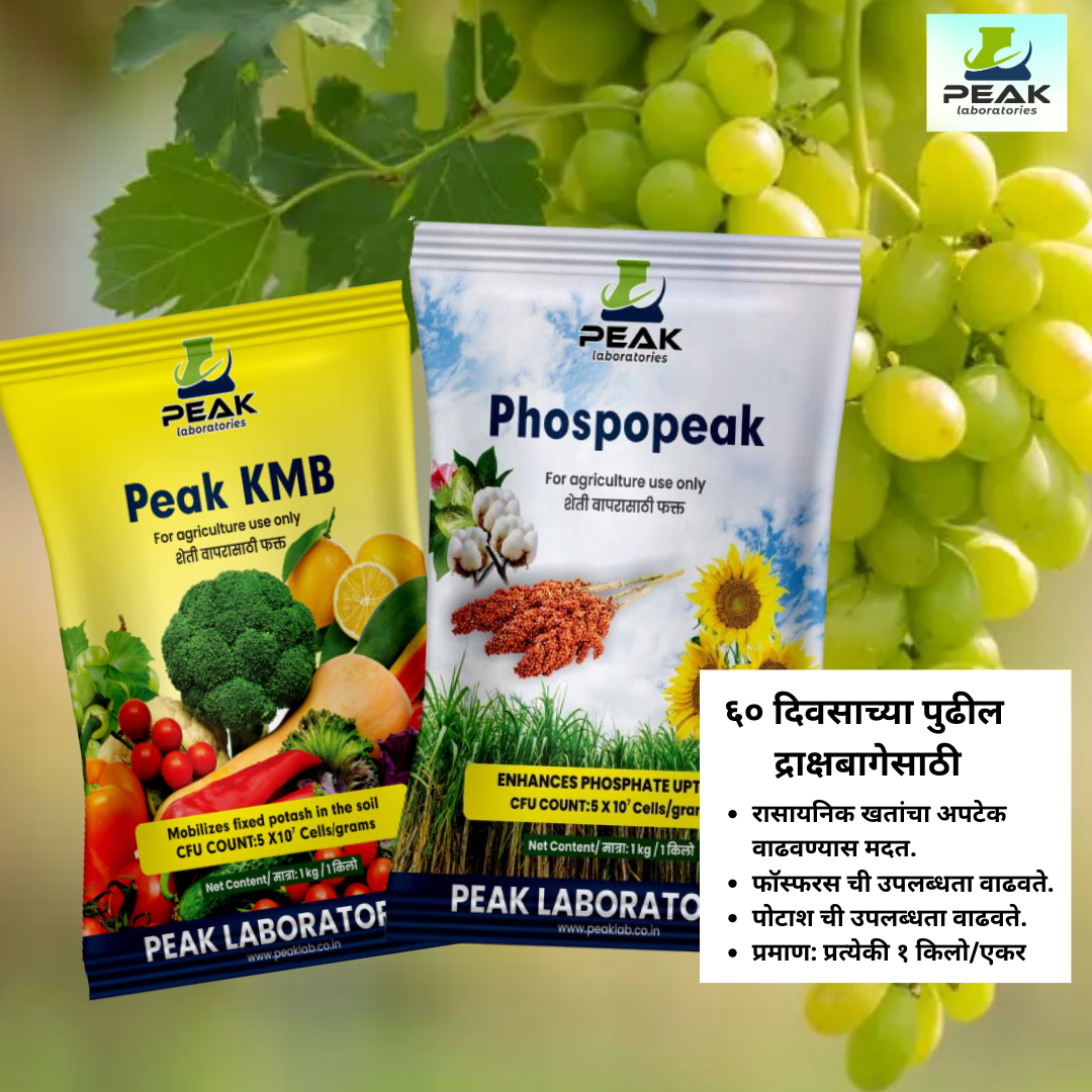 PSB KMB COMBO KIT (Dextrose)