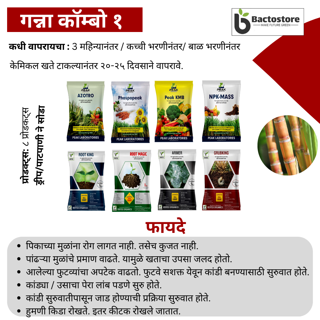 ऊस पिकासाठी जीवाणू खते कीट Sugarcane Biofertilizer Kit  Free Shipping