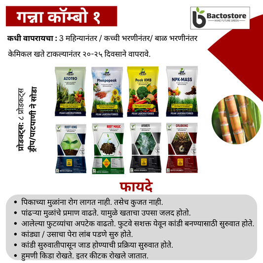 ऊस पिकासाठी जीवाणू खते कीट Sugarcane Biofertilizer Kit  Free Shipping