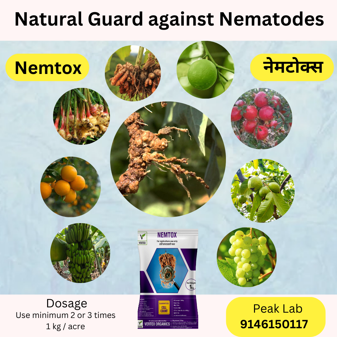 NEMTOX 1 किलोग्राम पैकेट (टैल्क)