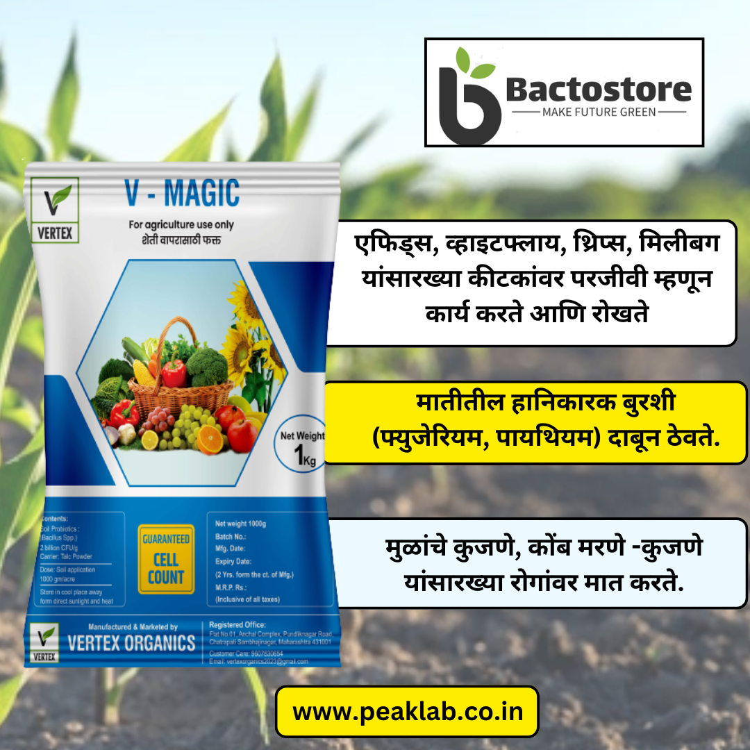 V-MAGIC 1 Kg Pack (Dextrose)