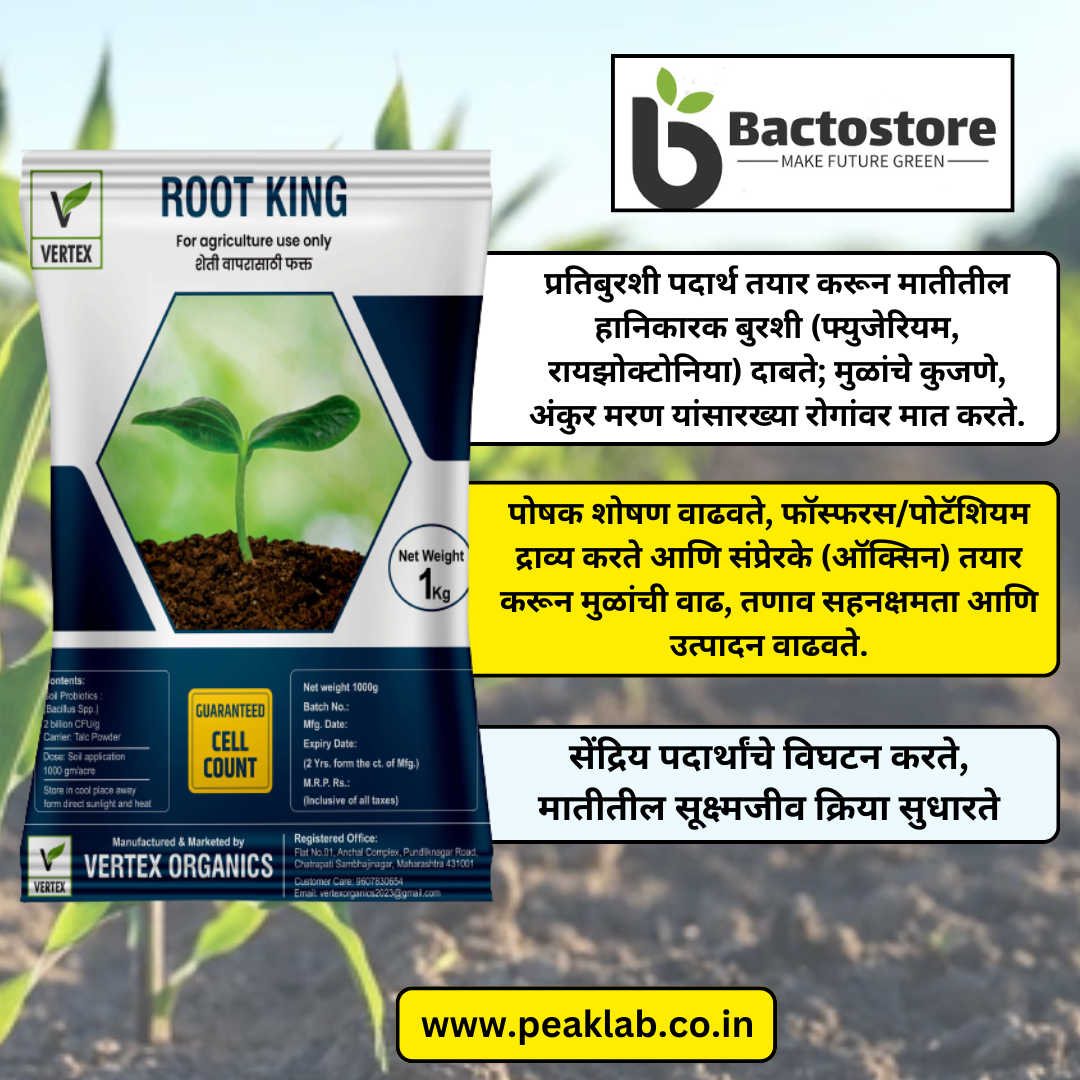 ರೂಟ್ ಕಿಂಗ್ 500 ಜಿ ಪ್ಯಾಕೆಟ್ ಟಿವಿ ಟ್ರೈಕೋಡರ್ಮಾ ವಿರಿಡೆ