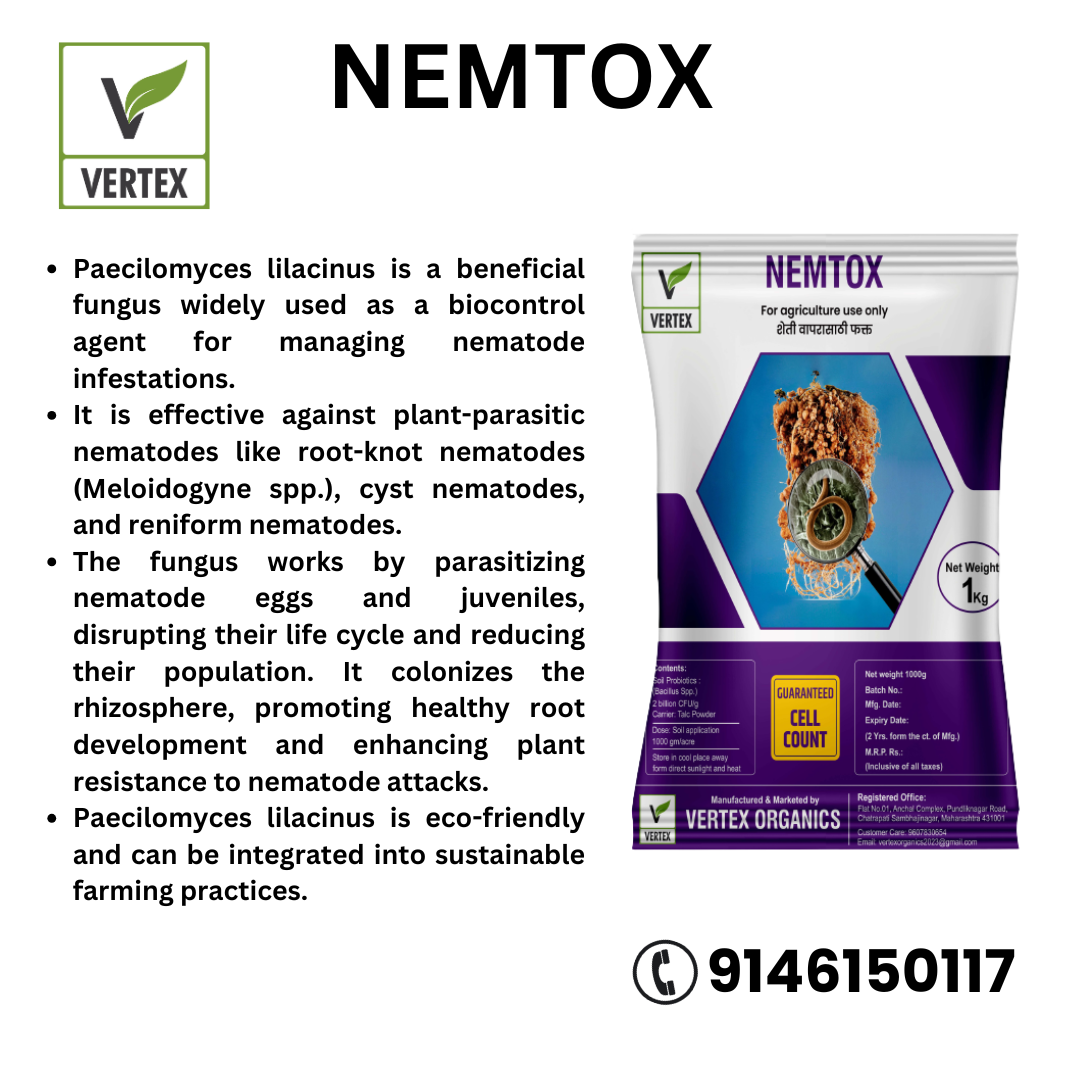 NEMTOX 1 Kg Packet (Talc)