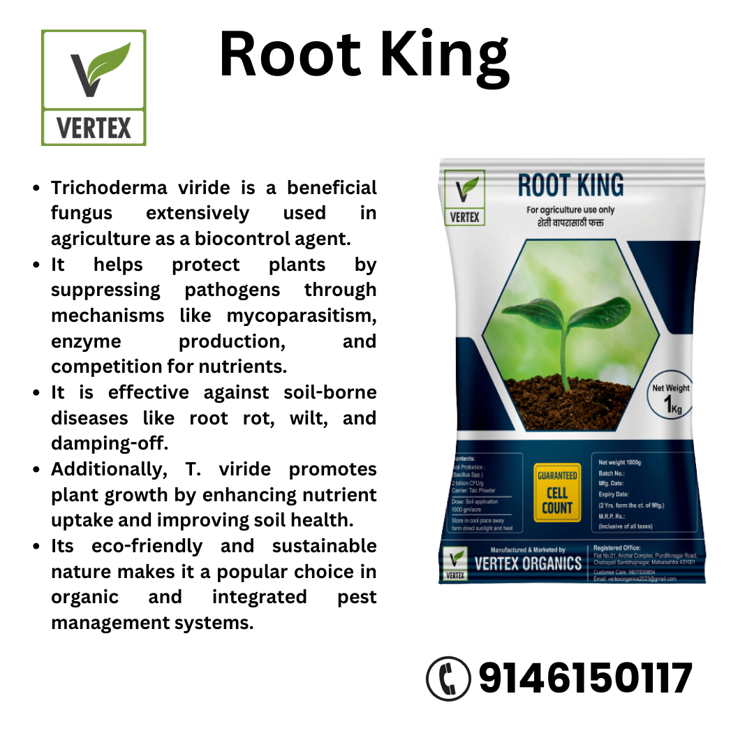 ROOT KING 1 Kg Packet (Talc)