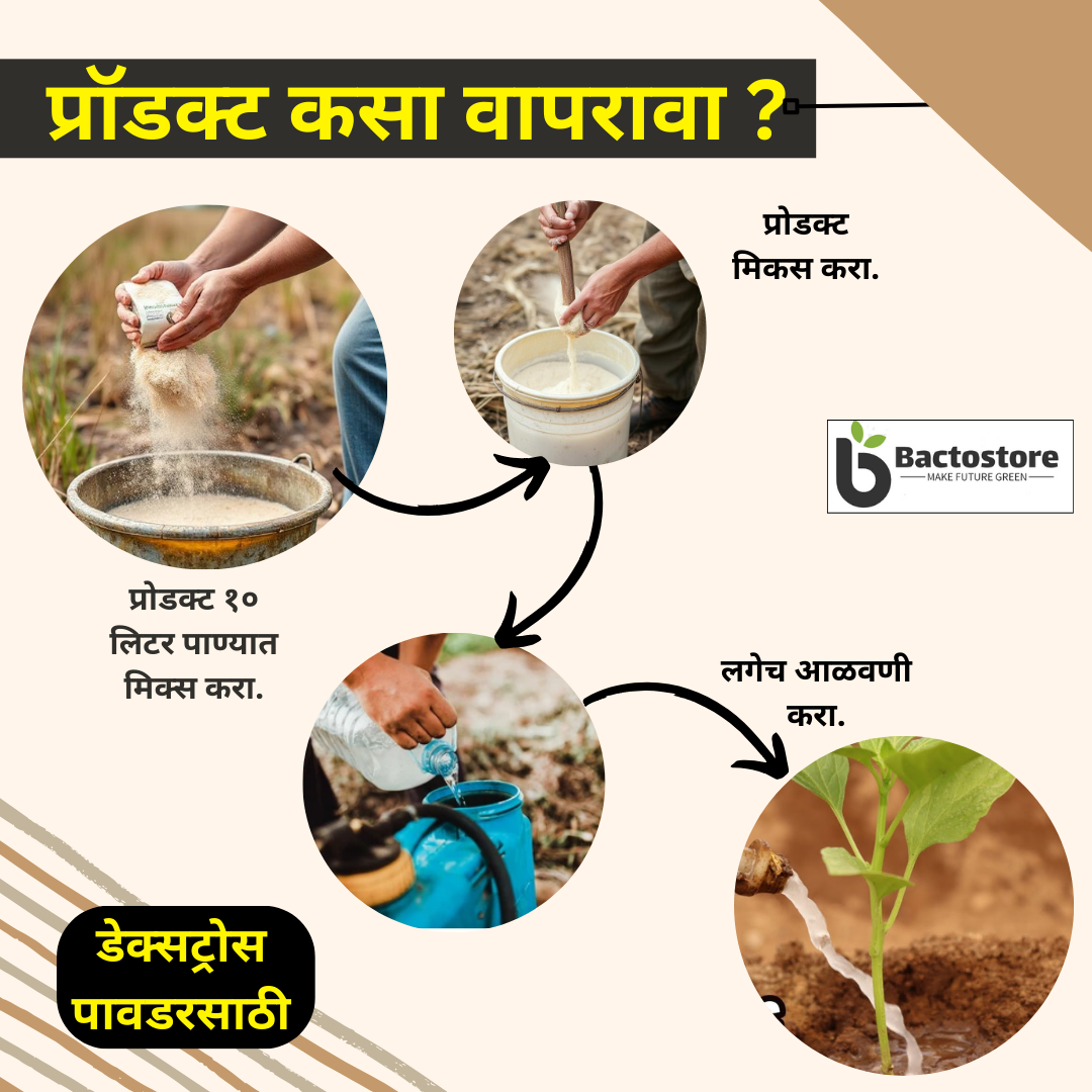 ARMER 1 ಕೆಜಿ ಪ್ಯಾಕ್ (ಟಾಲ್ಕ್) ಬ್ಯಾಸಿಲಸ್ ಸಬ್ಟಿಲಿಸ್