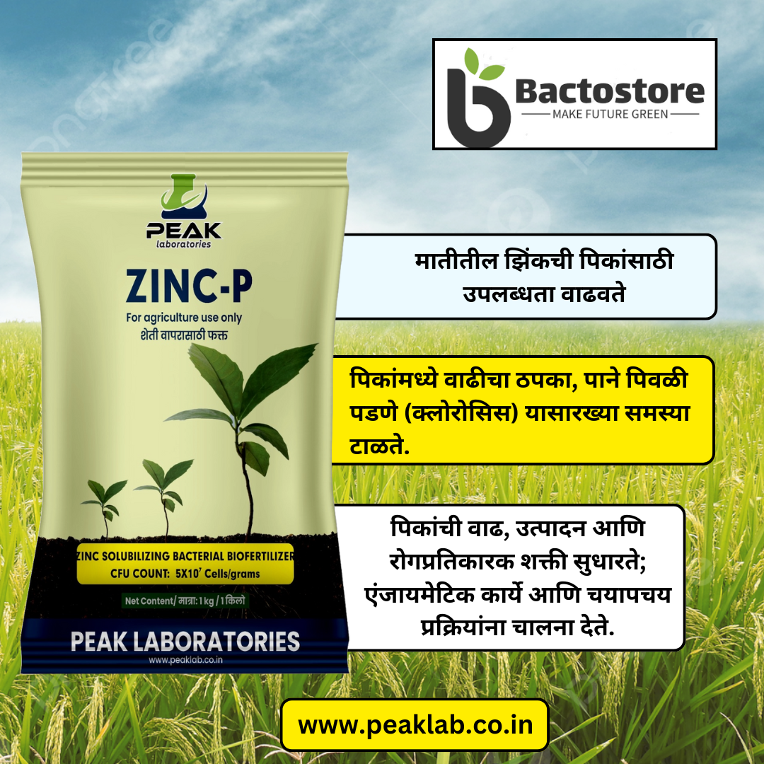 ZINC-P : ZSB Bacteria 1 Kg Packet (Dextrose)