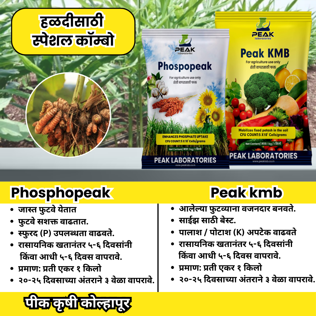 हळद कॉम्बो Biofertilizer Combo for Turmeric FREE SHIPPING