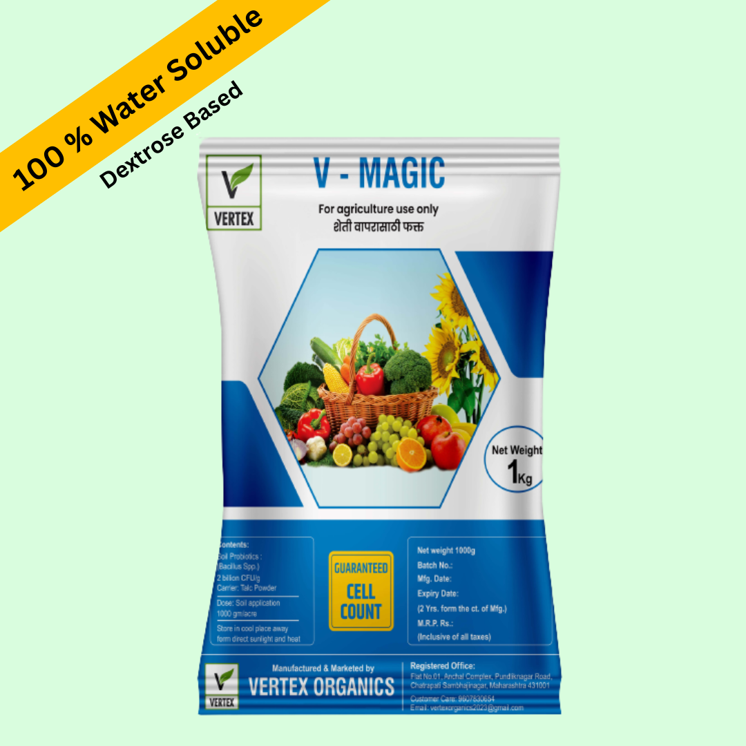 V-MAGIC 1 Kg Pack (Dextrose)