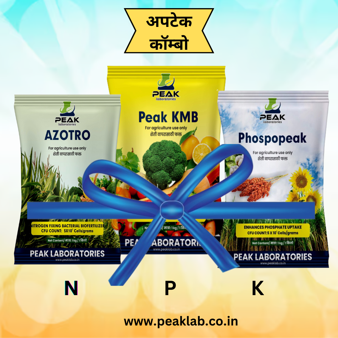 ಅಜೋಟೋಬ್ಯಾಕ್ಟರ್ ಪಿಎಸ್ಬಿ ಕೆಎಂಬಿ ಕಾಂಬೊ (ಟಾಲ್ಕ್)