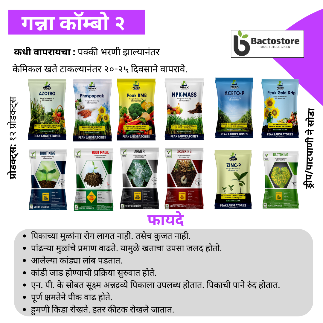 ऊस पिकासाठी जीवाणू खते कीट Sugarcane Biofertilizer Kit  Free Shipping