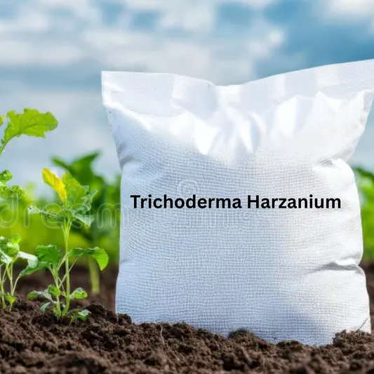 Trichoderma Harzianum Powder Formulation (Water Insoluble) Talc Based Powder