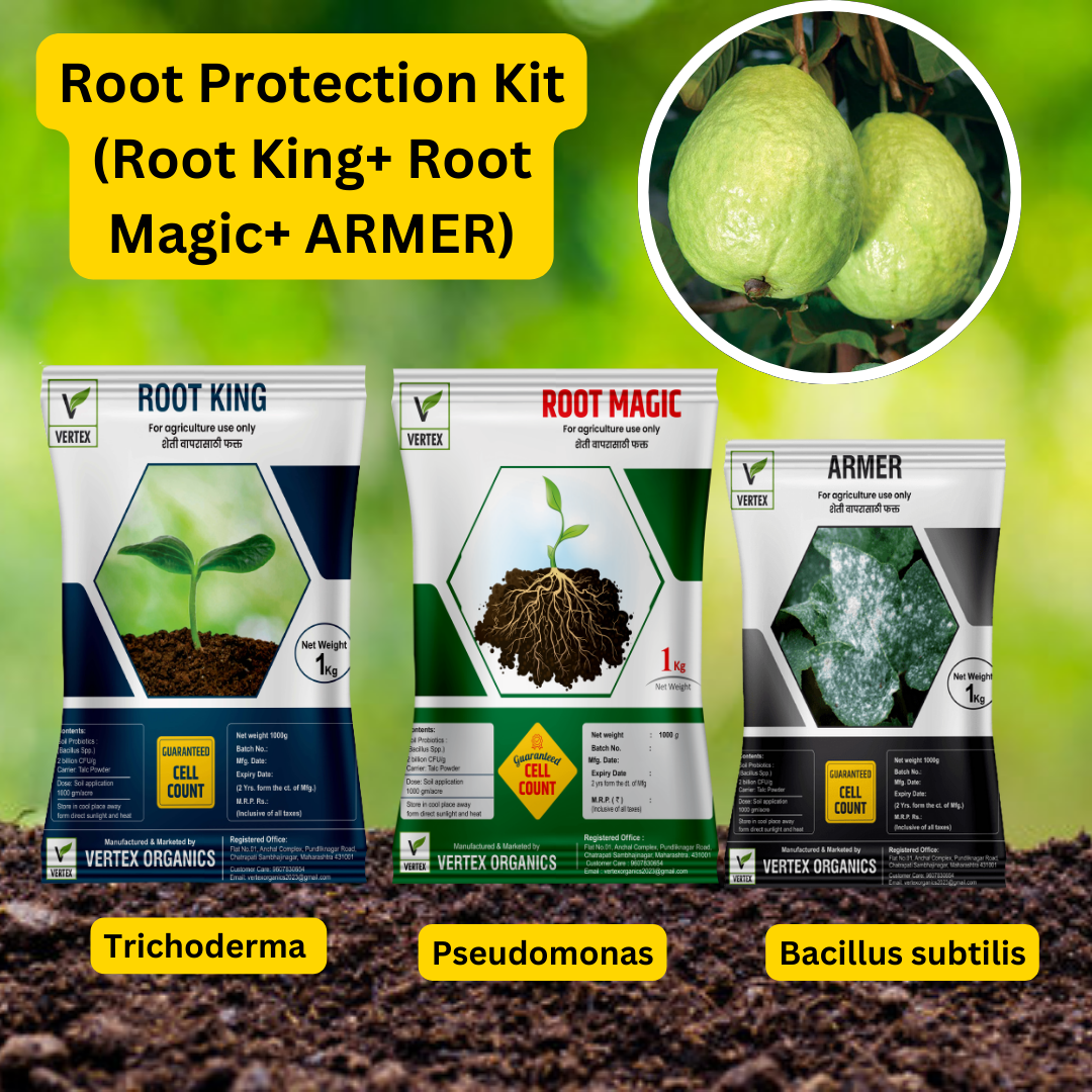 Guava Biofertilizer Kit पेरू जीवाणू खते कीट