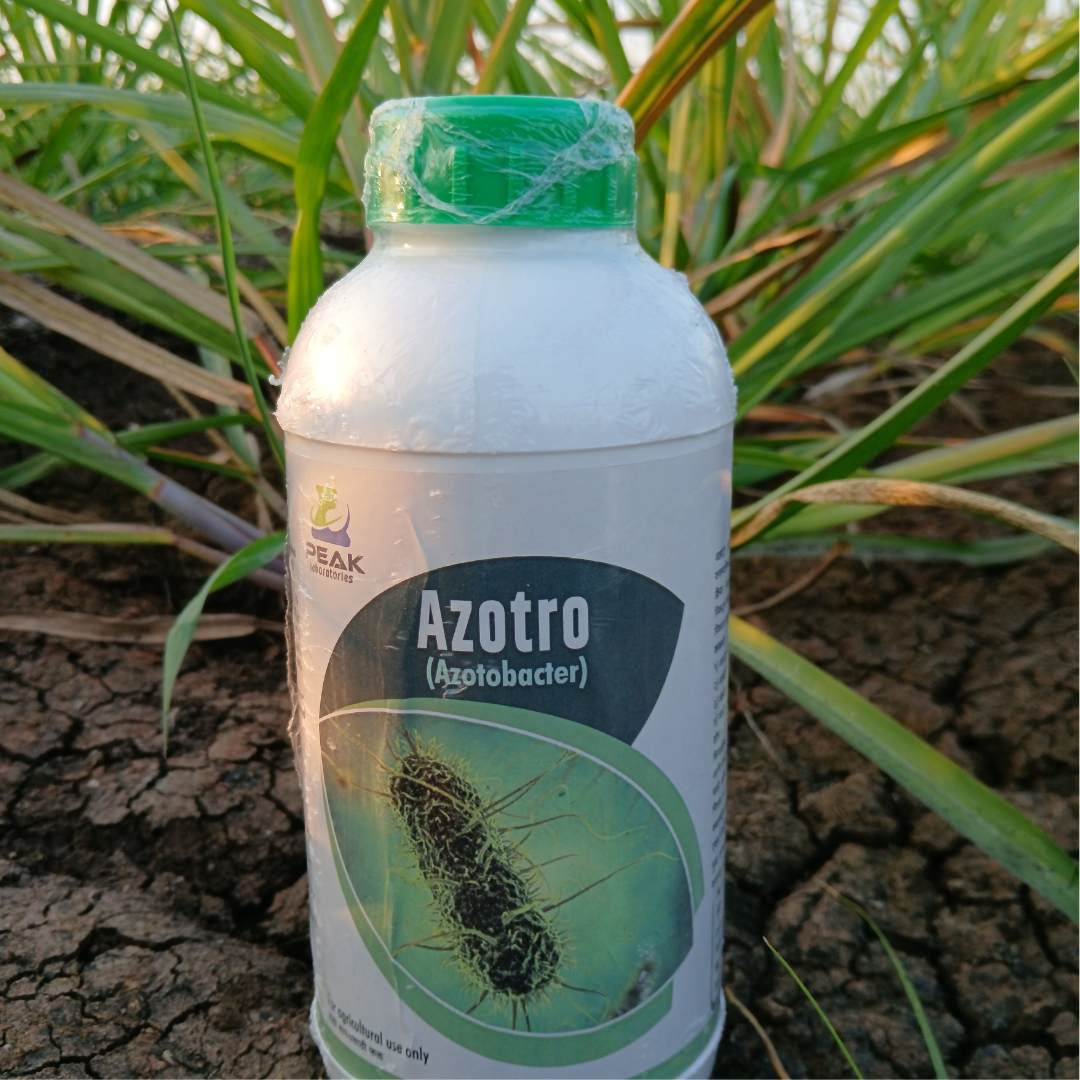 Azotobacter liquid Azotro 1 Litre Bottle (FREE HOME DELIVERY)