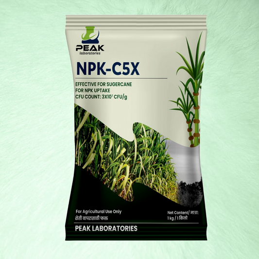 NPK C5X: उस पिकासाठी एन.पी.के कान्सोर्तिया फुटव्यासाठी बेस्ट प्रोडक्ट १ किलो टाल्क पावडर बेस