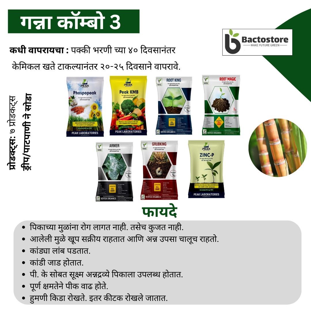 ऊस पिकासाठी जीवाणू खते कीट Sugarcane Biofertilizer Kit  Free Shipping
