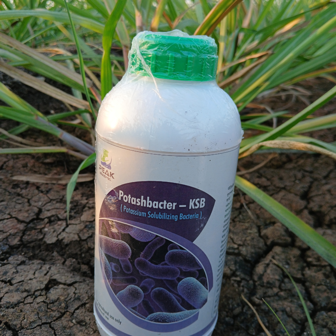 Potashbacter: Potassium Mobilizing Bacteria KMB 1 Litre Bottle (FREE HOME DELIVERY)