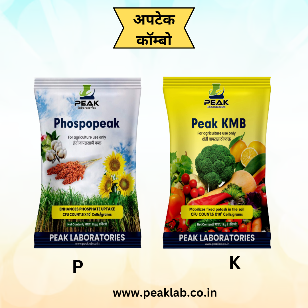 PSB KMB COMBO KIT (Dextrose)
