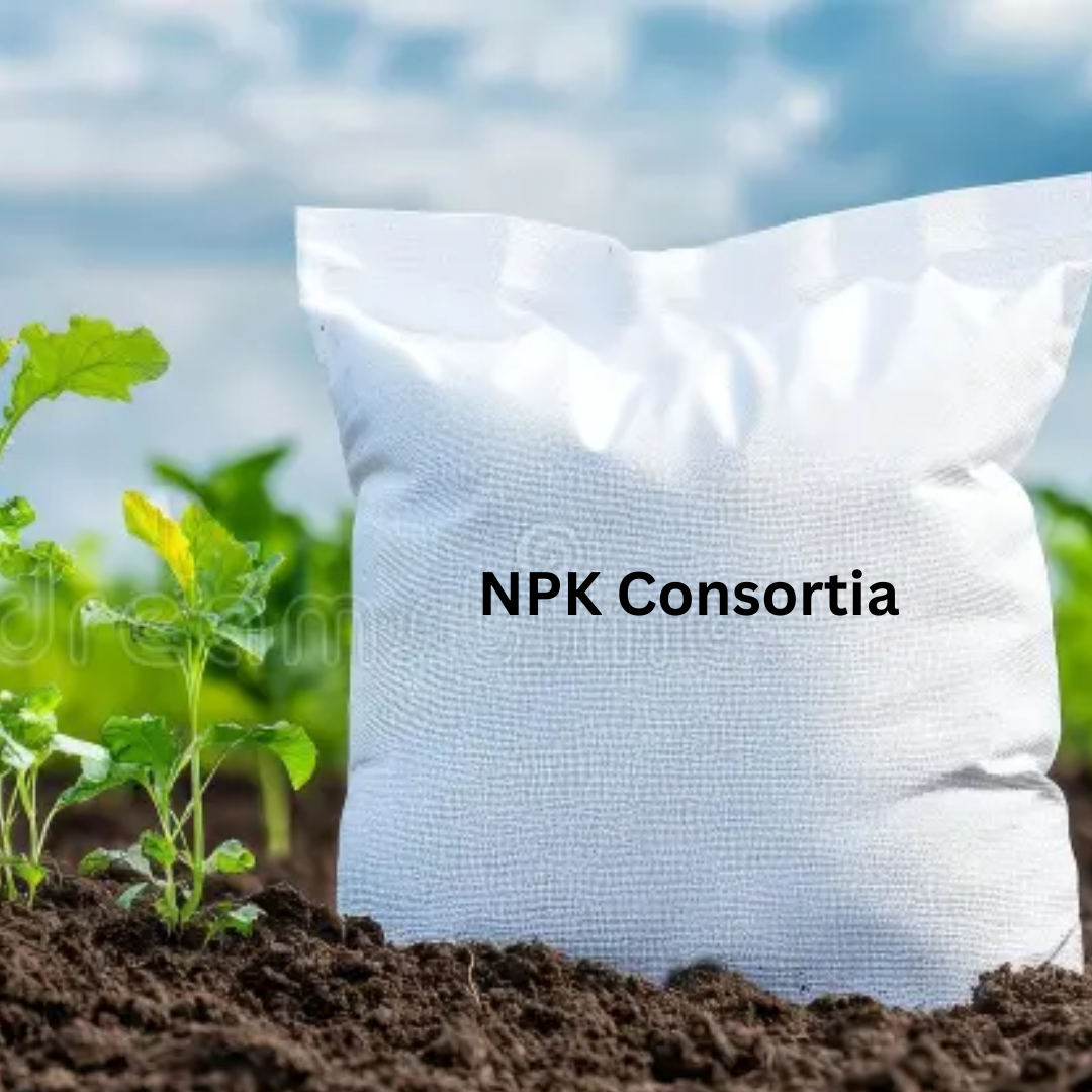 NPK Consortia Powder Formulation (Water Insoluble) Talc Based Powder