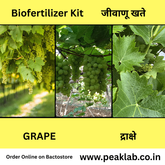 Grape Biofertilizer Kit