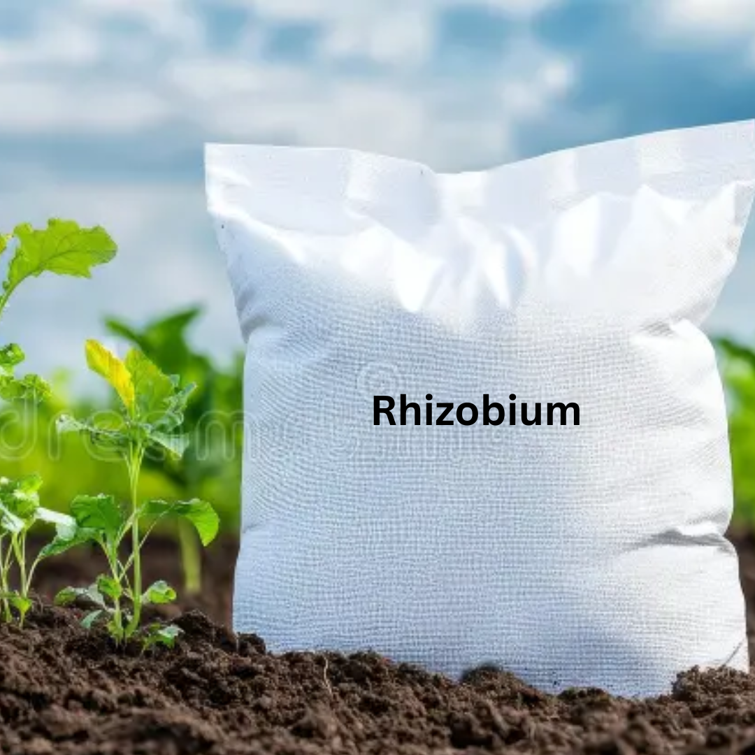 Rhizopeak: Rhizobium Biofertilizer (Dextrose)