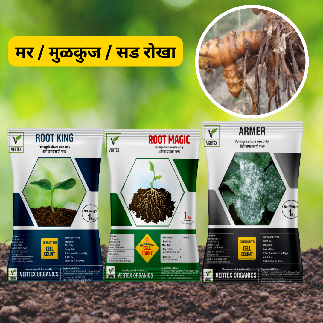 हळद कॉम्बो Biofertilizer Combo for Turmeric FREE SHIPPING