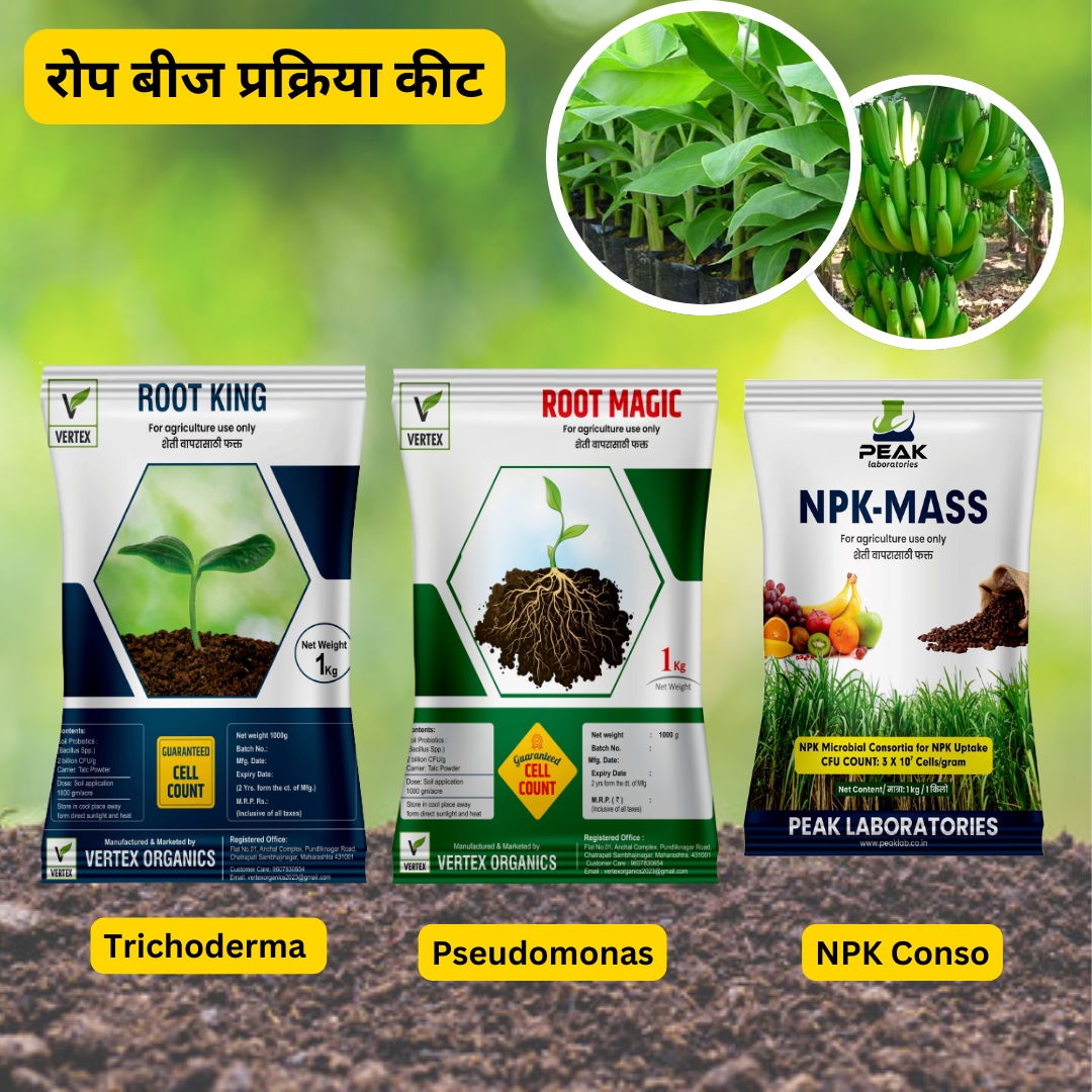 केळी साठी जीवाणू कीट / Banana Biofertilizer Kit FREE SHIPPING
