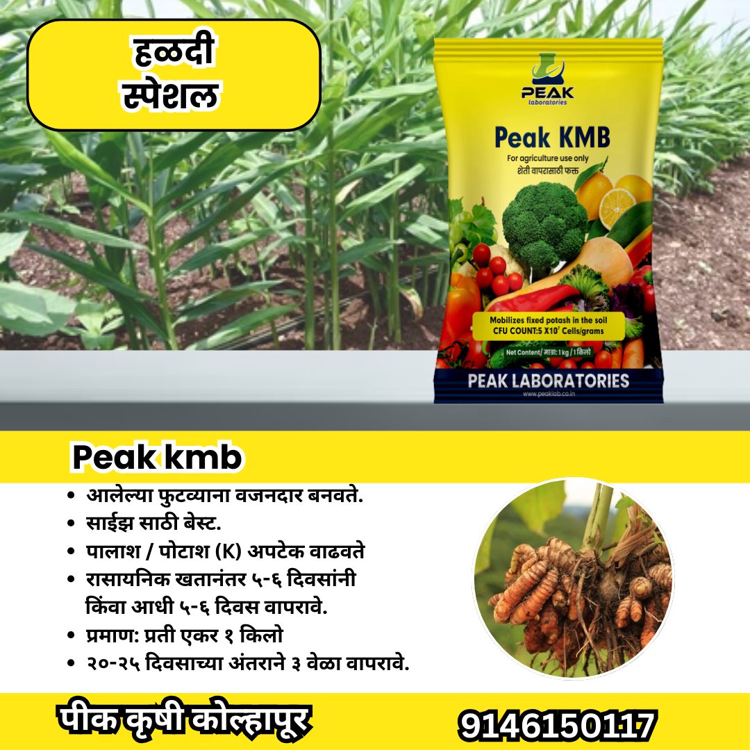 हळद कॉम्बो Biofertilizer Combo for Turmeric FREE SHIPPING