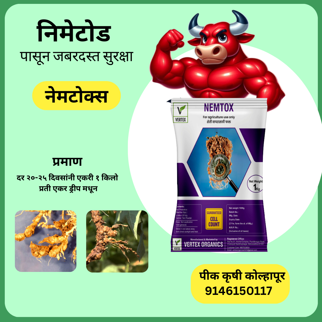 NEMTOX 1 किलोग्राम पैकेट (टैल्क)