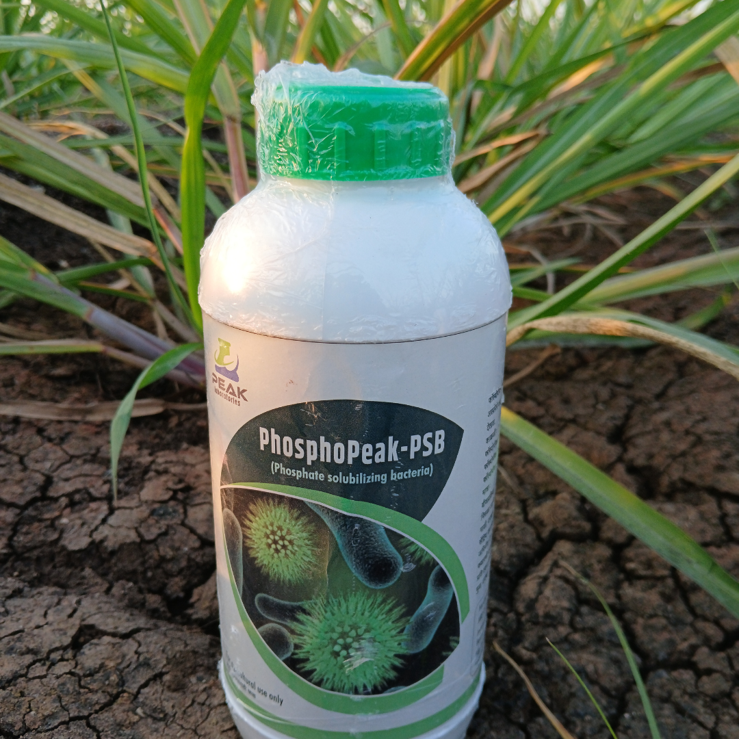 Phosphopeak-PSB 1 Litre Bottle (FREE HOME DELIVERY)