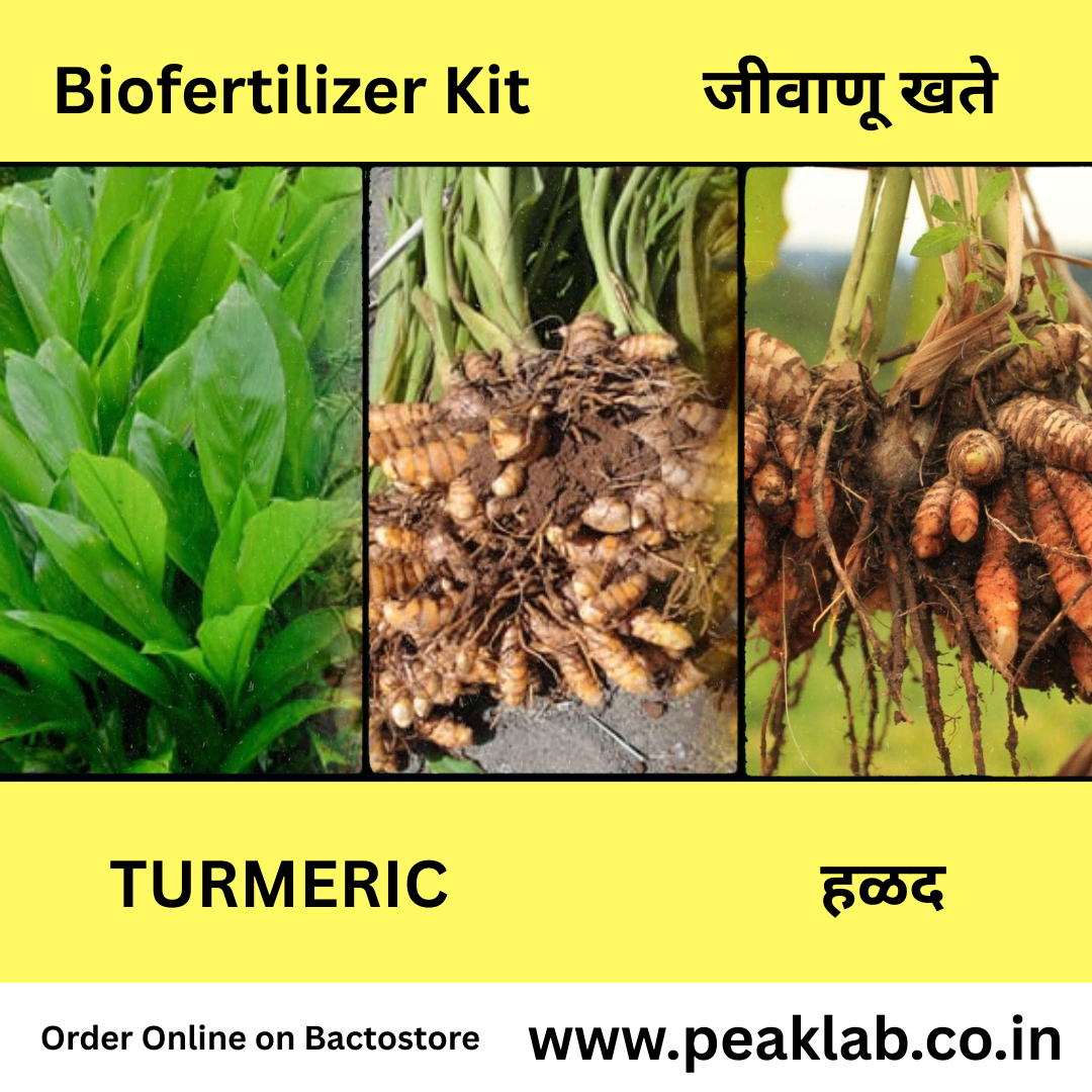 हळद कॉम्बो Biofertilizer Combo for Turmeric FREE SHIPPING