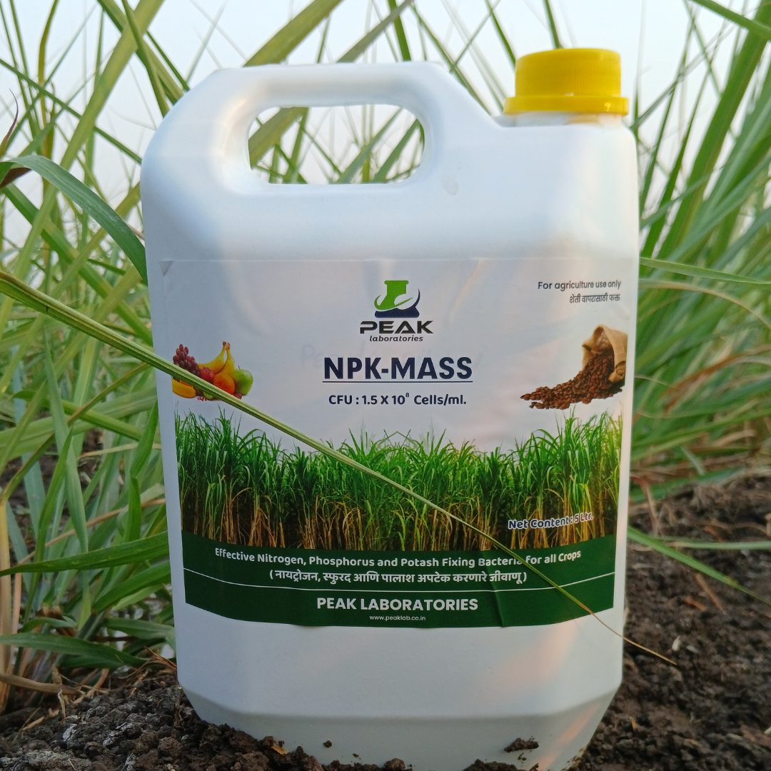 NPK MASS: NPK Consortia 5 Litre (FREE HOME DELIVERY)