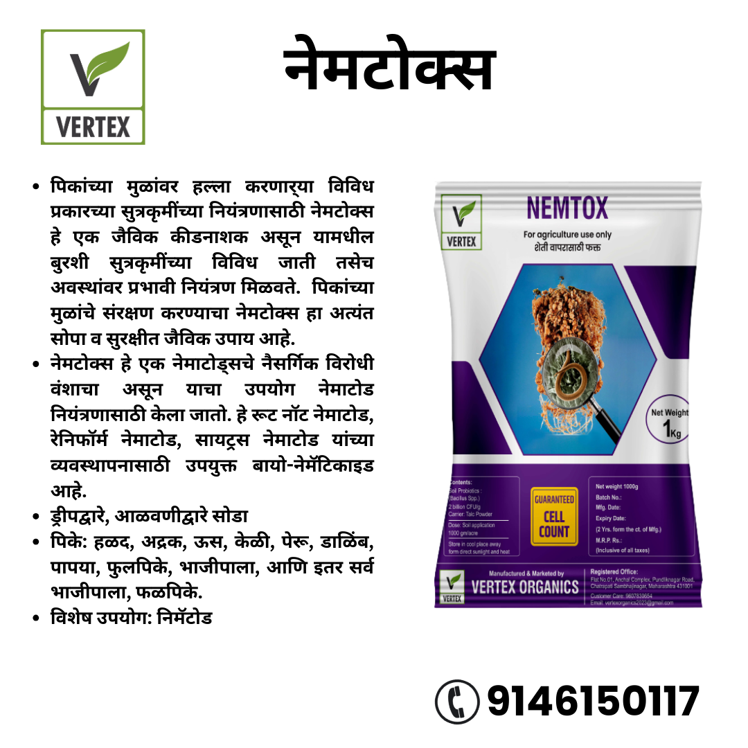 NEMTOX 1 ಕೆಜಿ ಪ್ಯಾಕೆಟ್ (ಟಾಲ್ಕ್)