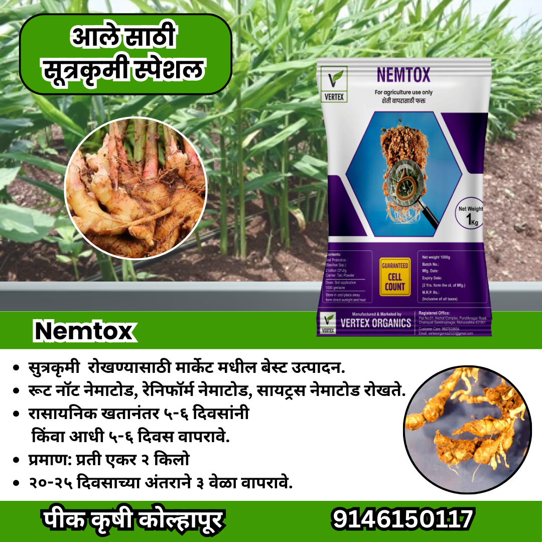 आले कॉम्बो Biofertilizer Combo for Ginger FREE SHIPPING