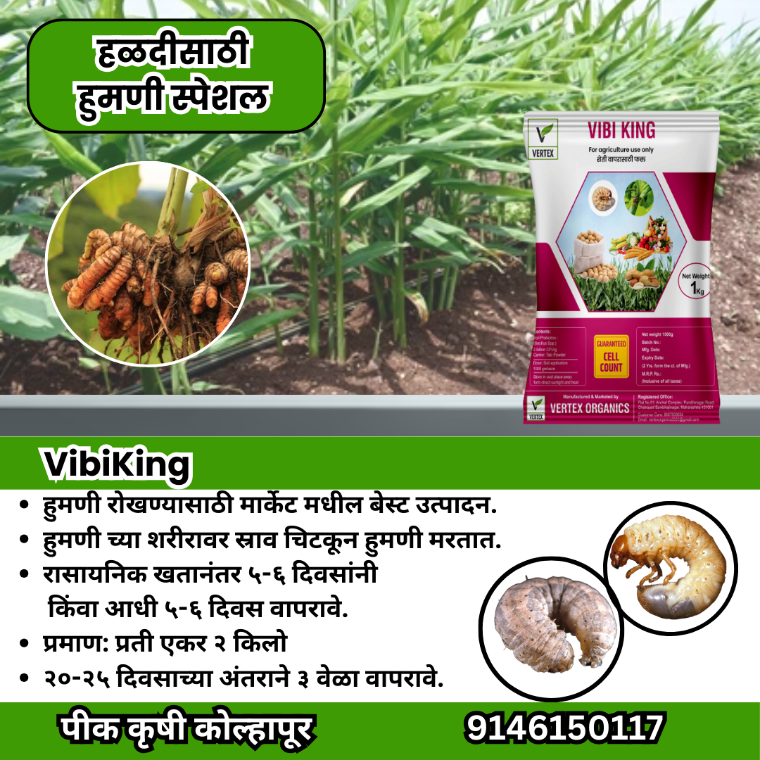 हळद कॉम्बो Biofertilizer Combo for Turmeric FREE SHIPPING
