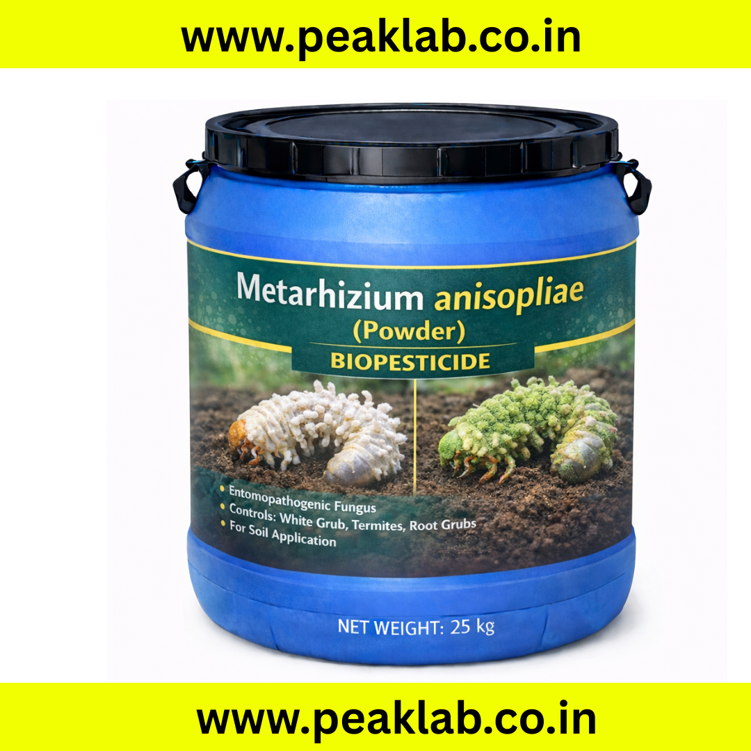 Metarhizium Anisopliae powder 25 Kg Drum