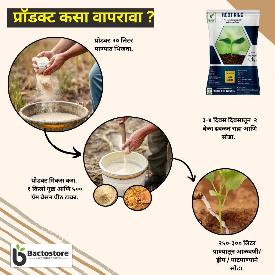 ರೂಟ್ ಕಿಂಗ್ 500 ಜಿ ಪ್ಯಾಕೆಟ್ ಟಿವಿ ಟ್ರೈಕೋಡರ್ಮಾ ವಿರಿಡೆ