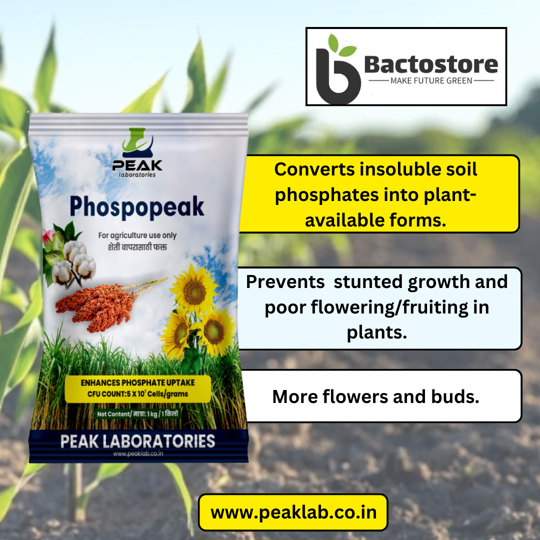 PHOSPHOPEAK: PSB Phosphate Solubilizing Bacteria 1 Kg Packet (Talc)
