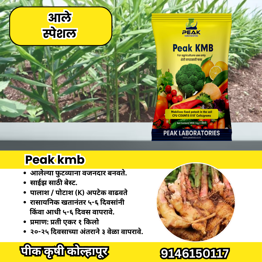 आले कॉम्बो Biofertilizer Combo for Ginger FREE SHIPPING