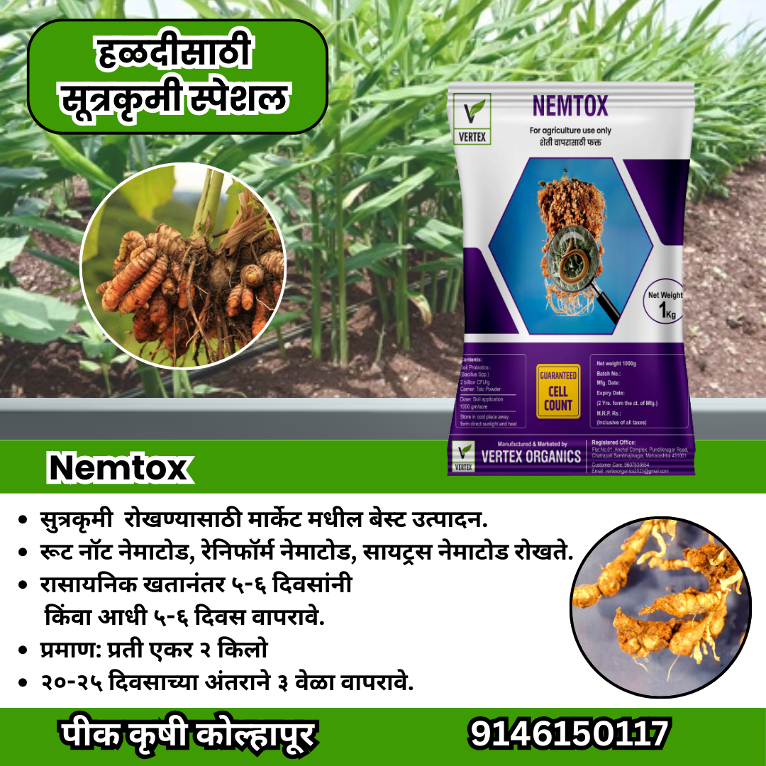 हळद कॉम्बो Biofertilizer Combo for Turmeric FREE SHIPPING