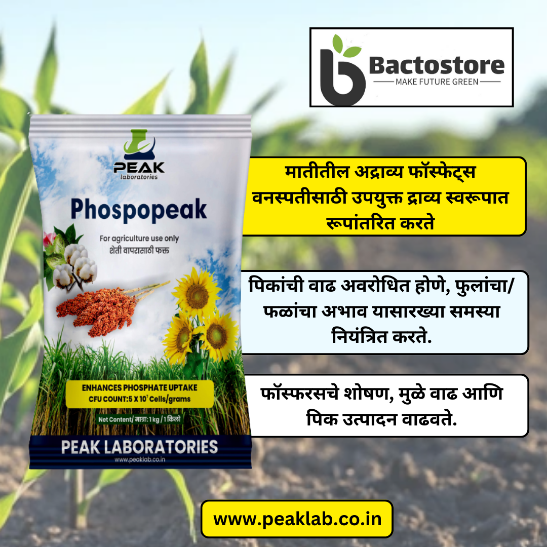 PHOSPHOPEAK: PSB Phosphate Solubilizing Bacteria 1 Kg Packet (Talc)